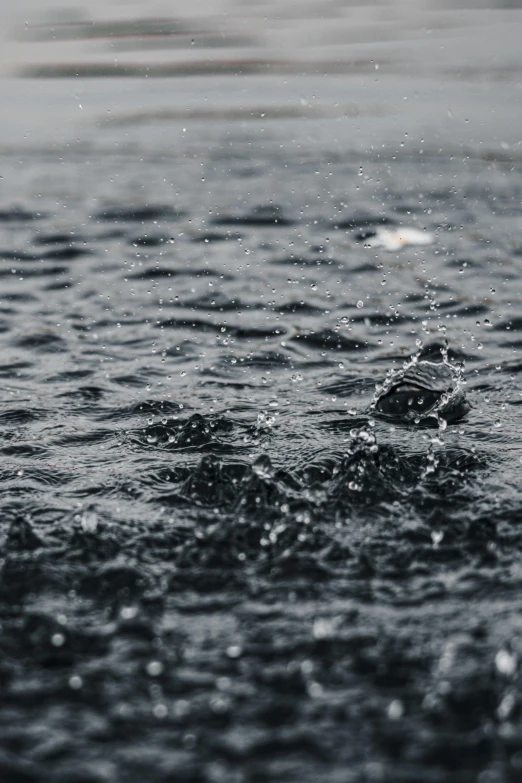 a black and white picture of water and umbrellas