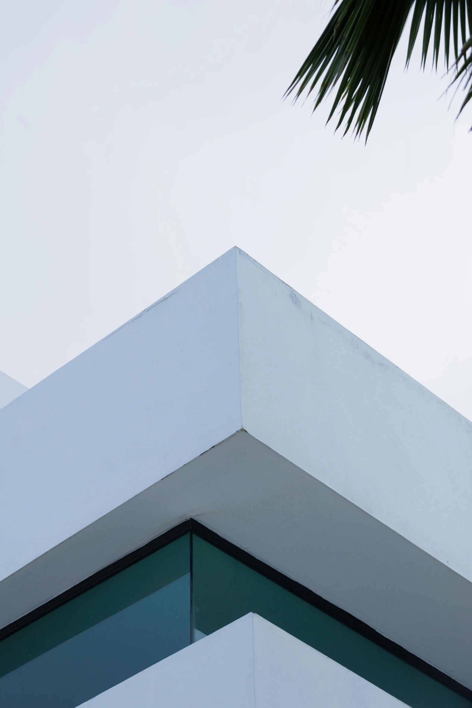 the side of a building with palm trees in front