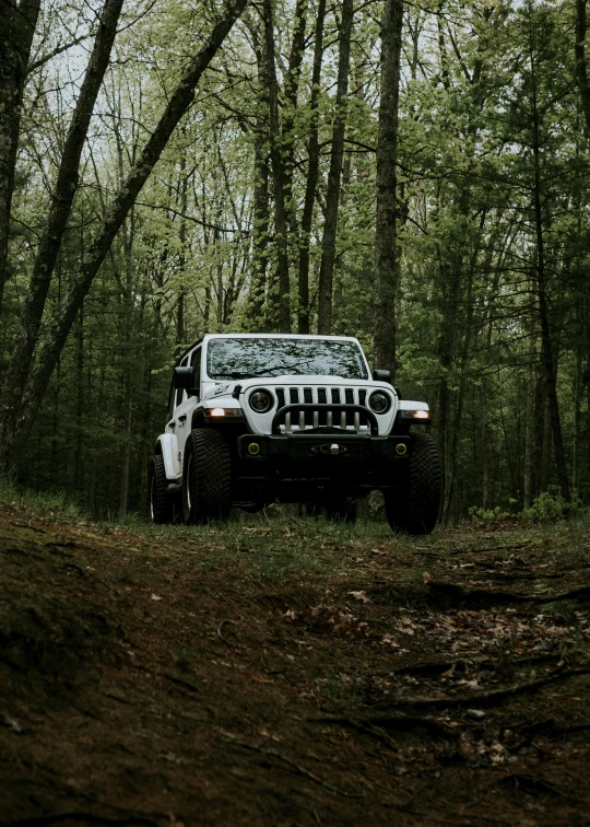 a jeep sits parked in the middle of a path