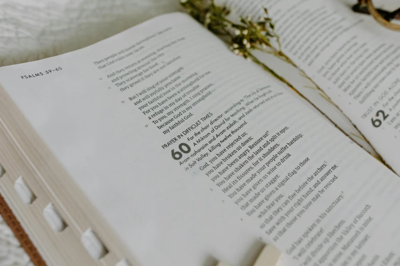 a book that is opened with a small flower