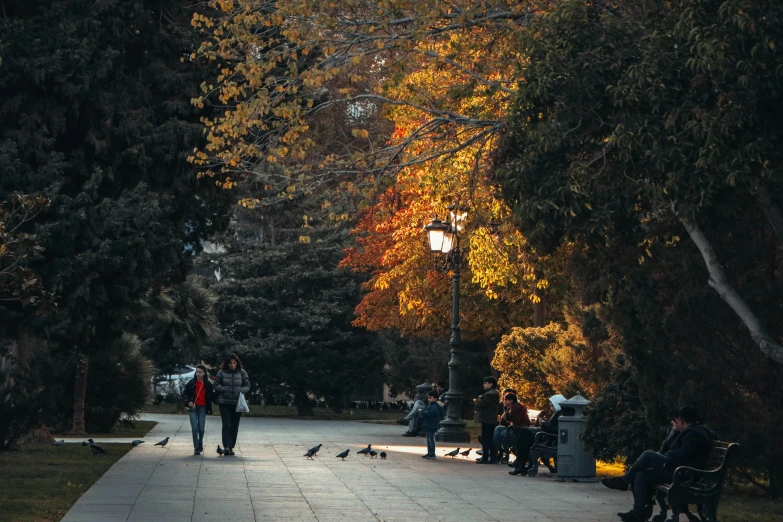 a bunch of people walk on a sidewalk with a couple of pigeons