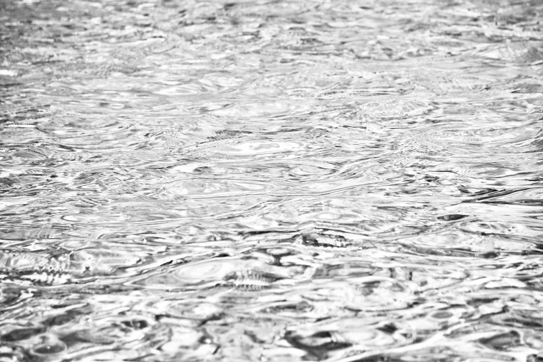 an image of a large white bird in the water