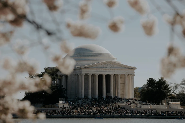 the dome of washington monument seen through the trees