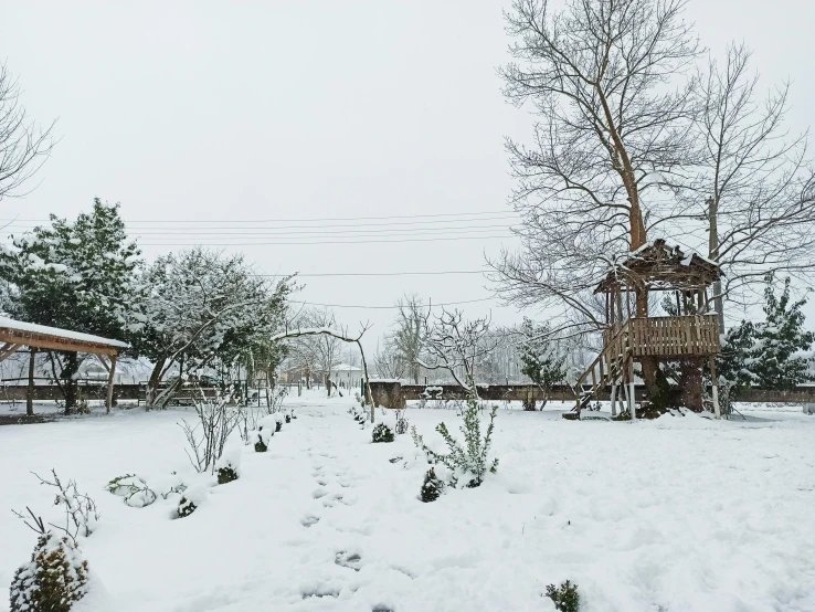 a snowy garden with a birdhouse next to a building