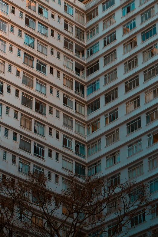 a large white building next to some trees