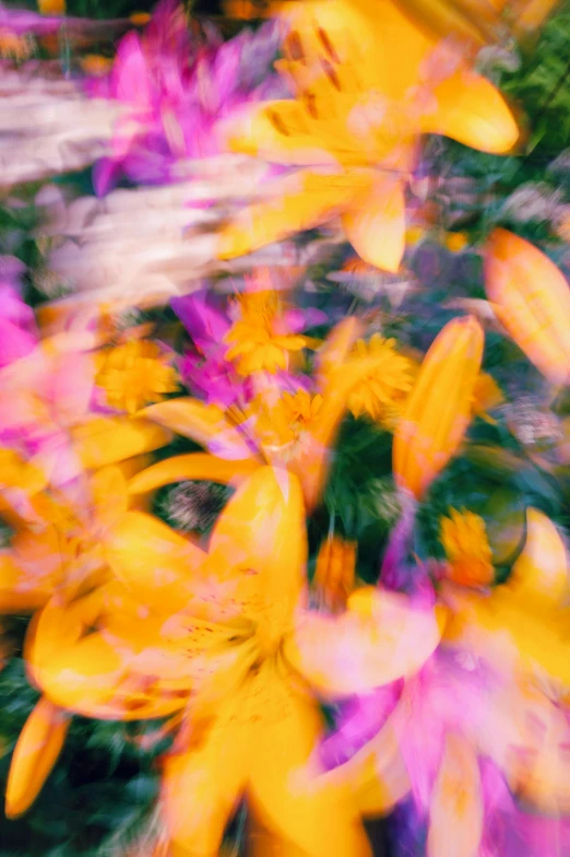 a blurry image of colorful flowers in bloom