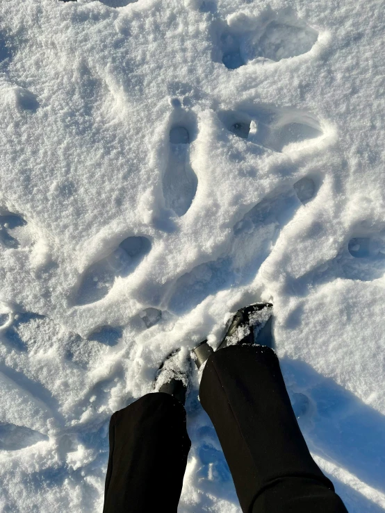 there is a person with their feet in the snow