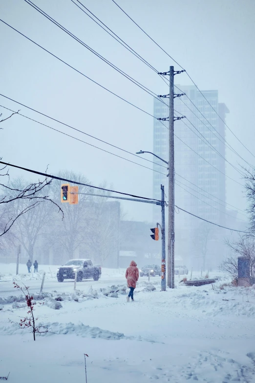 traffic lights and snow covered power lines on an icy day