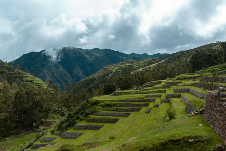 a landscape image with some grass and mountains in the background