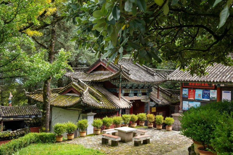 a courtyard in a small asian house with some plants