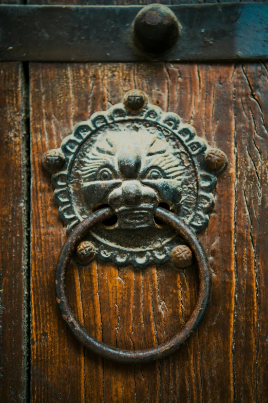 an iron ring on a wooden door with a lion head