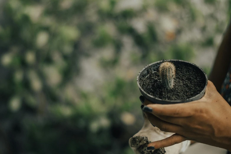 a hand holding a potted plant with dirt