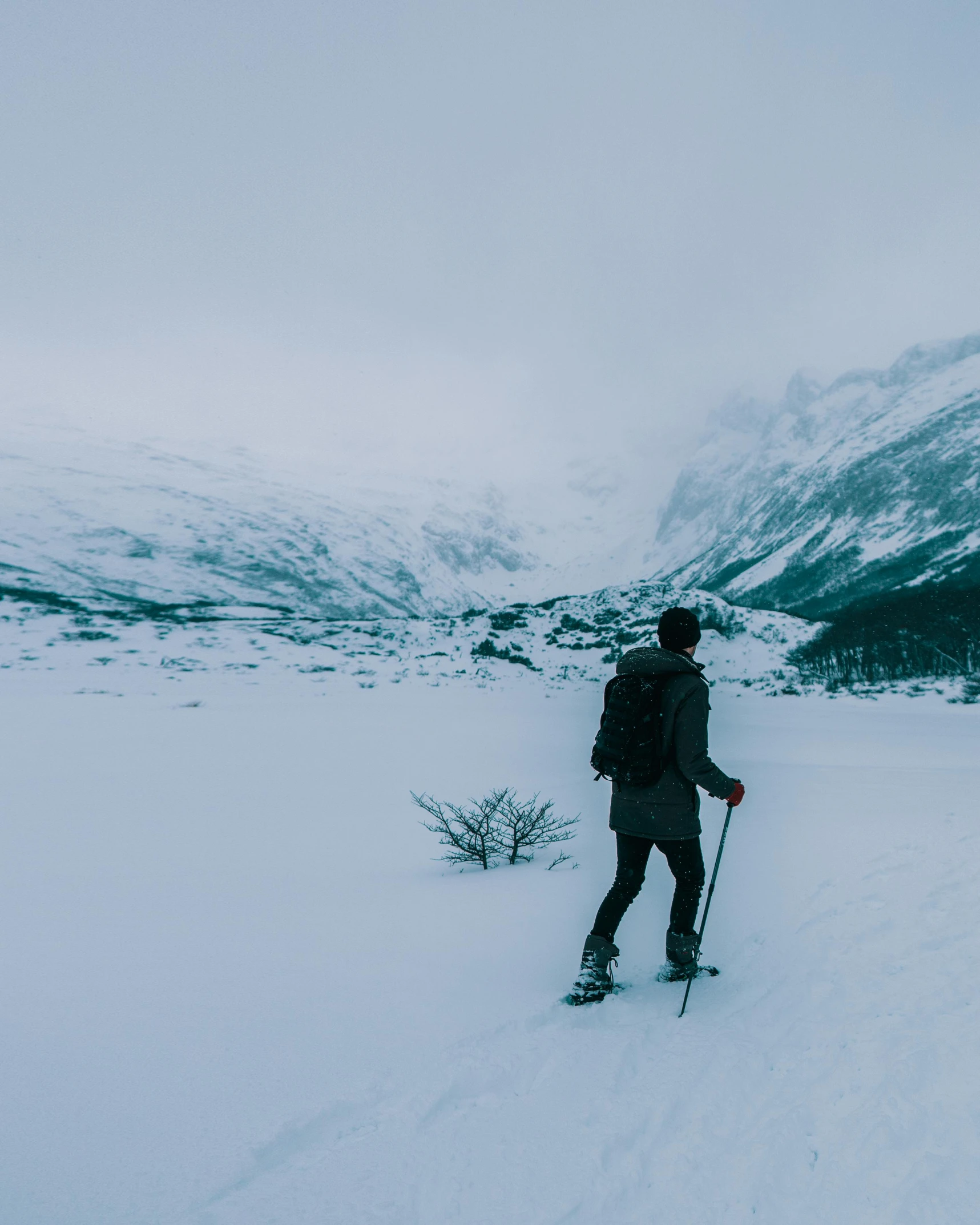 a person wearing skis, standing on the snow