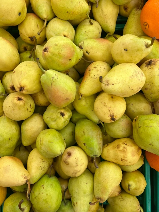 a bunch of different fruits piled on top of each other