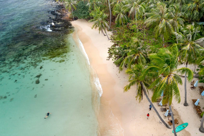 an island on the beach with many palm trees