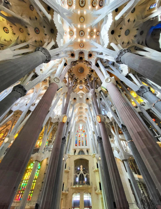 inside the navel ceiling of the cathedral, looking up at the vaulted ceilings