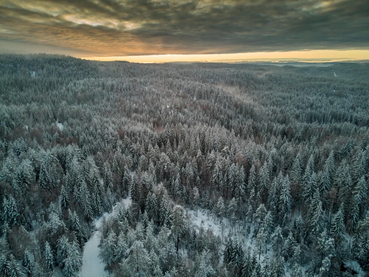 an aerial view of the wilderness during winter