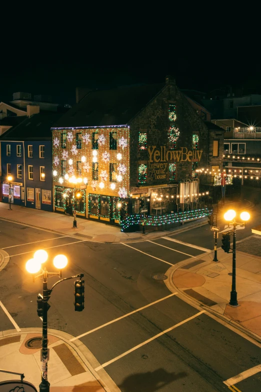 a very large light store decorated with christmas lights and ornaments