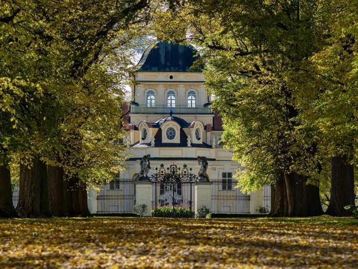 a building surrounded by trees with leaves all around