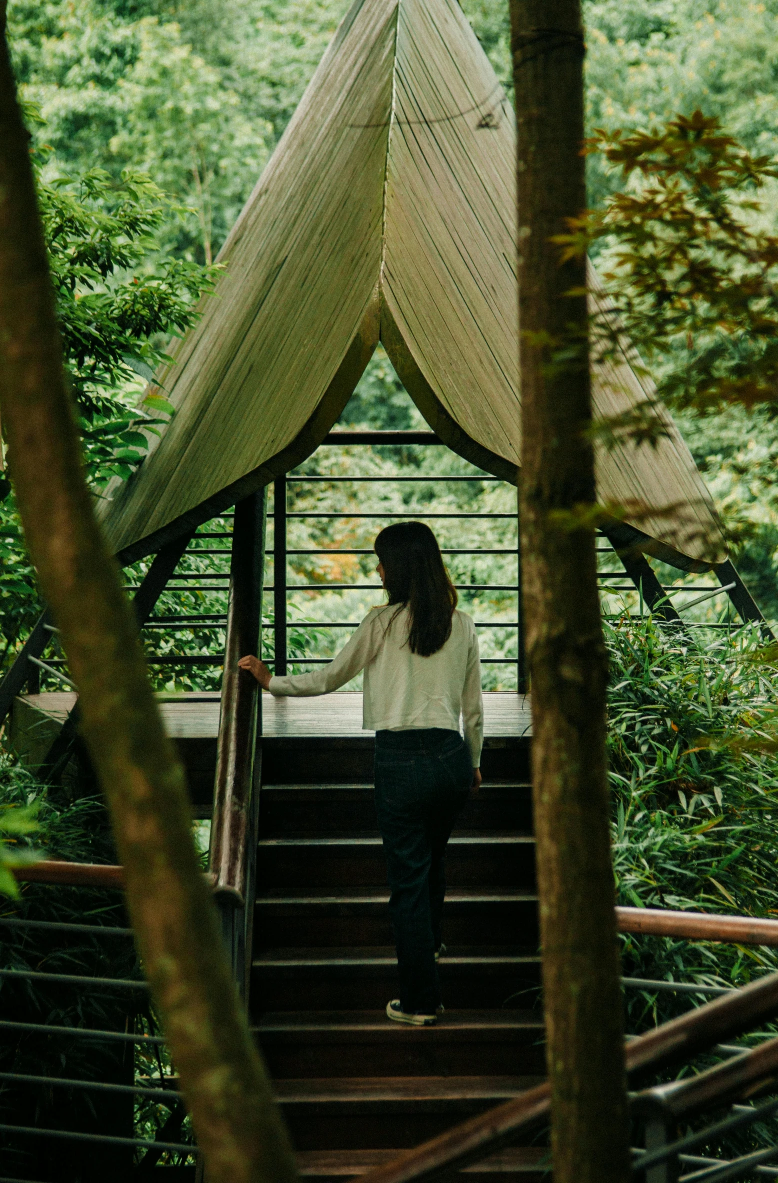 a woman walks down stairs in the forest