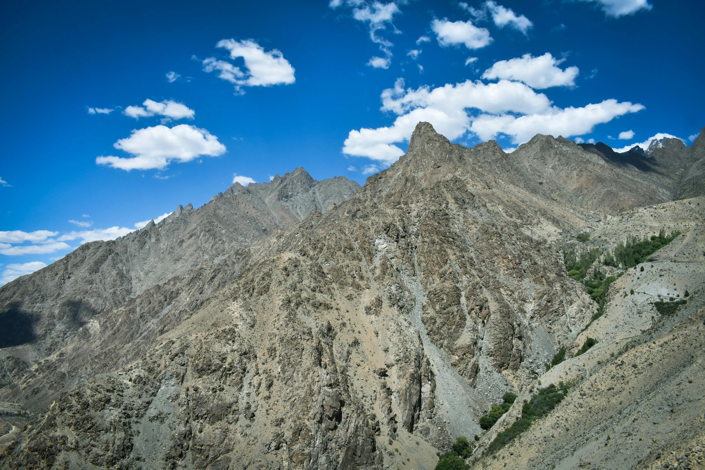 a group of mountains with sp vegetation growing along them