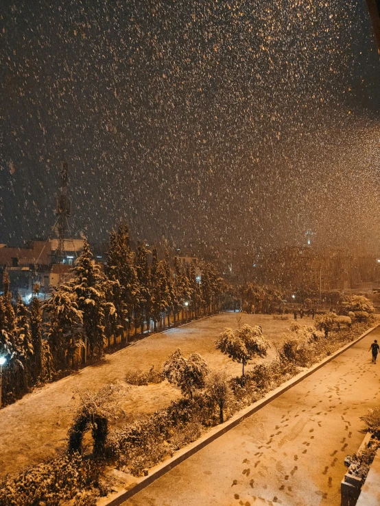 a man walks in the snow next to trees