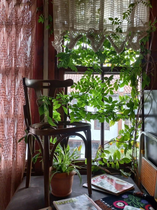 an indoor balcony area with various houseplants and small plants