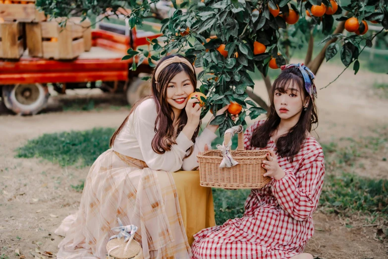 two asian ladies are sitting under an orange tree