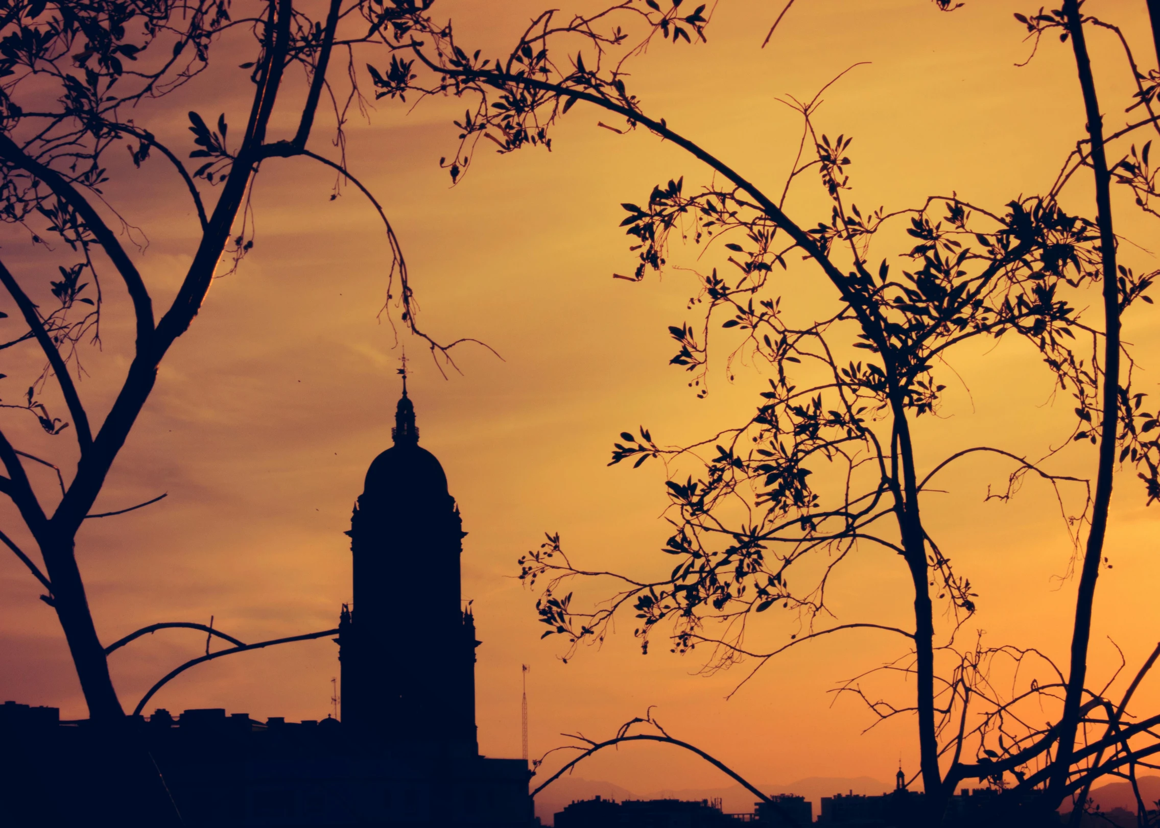 a silhouette of a building, with trees in the foreground