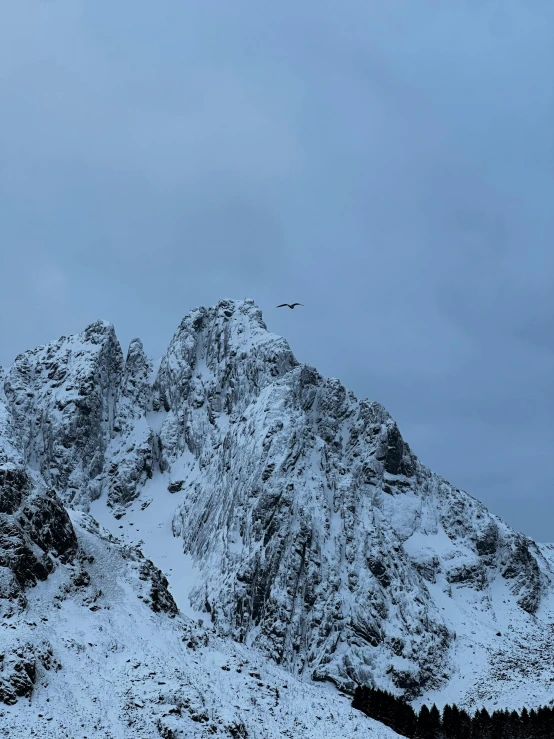 the top of the mountain is covered with a thick layer of snow