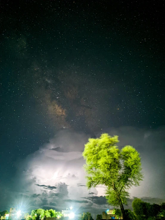 a tree and the night sky