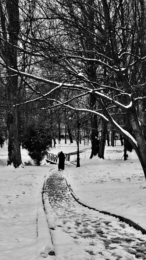 there is a long snow path in the park