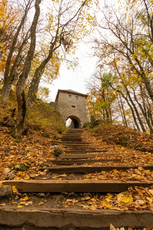 the steps lead down to a small building in a forest