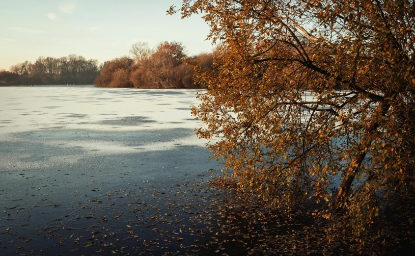 the view of the frozen lake and the trees