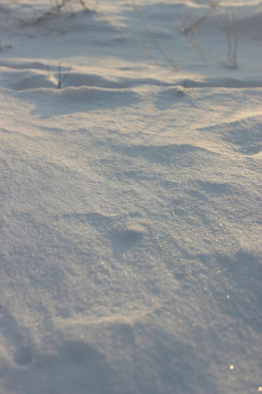 there is snow on the ground in front of a field