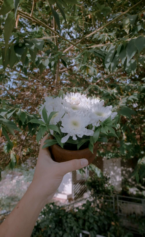 white flowers are arranged in a pot on the tree