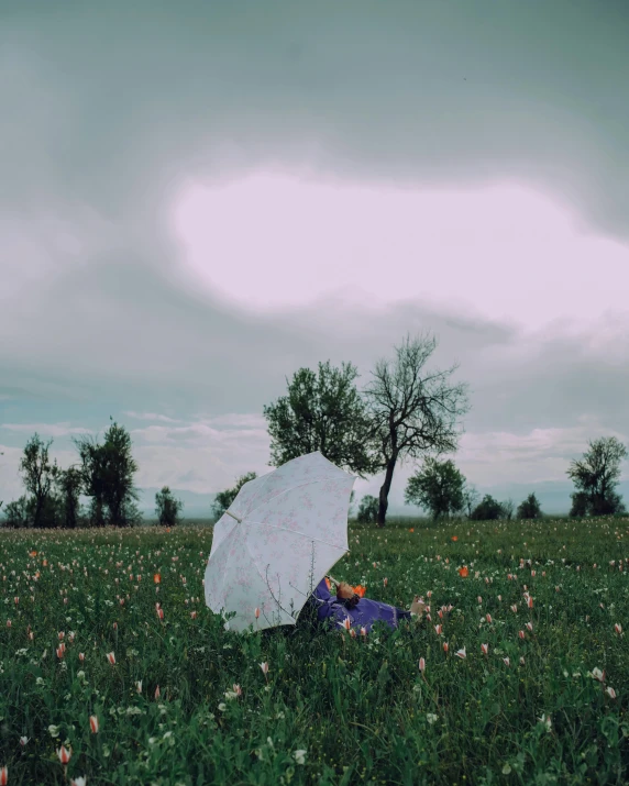 a person sitting in a field with an umbrella