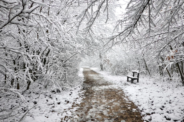 a very long path is covered by snow