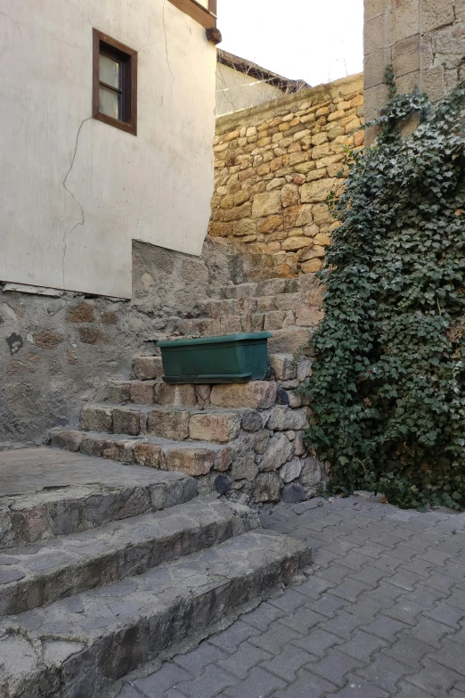 a group of stairs that have plants growing on them