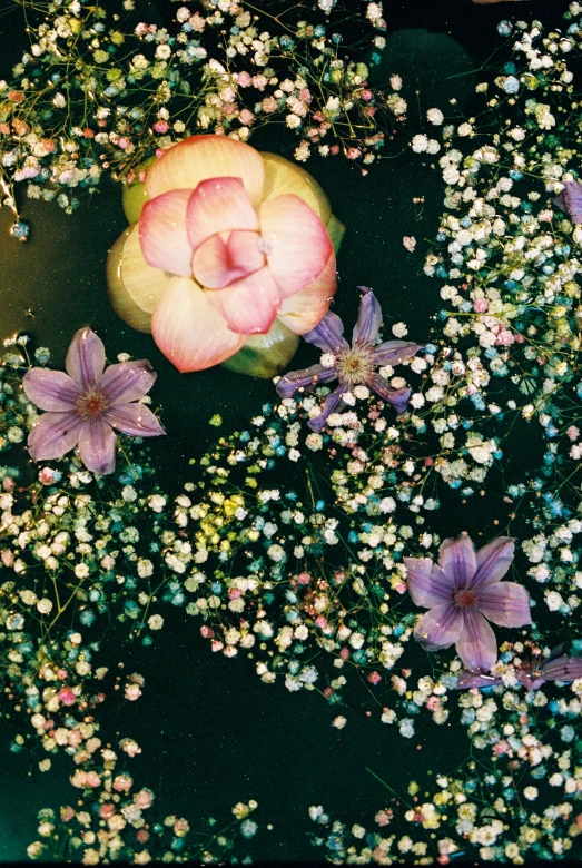 a painting of some flowers and flowers on a dark surface