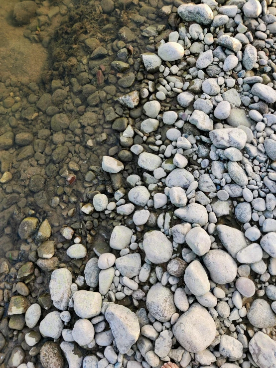 a river bed with rocks under water and small pebbles on the ground