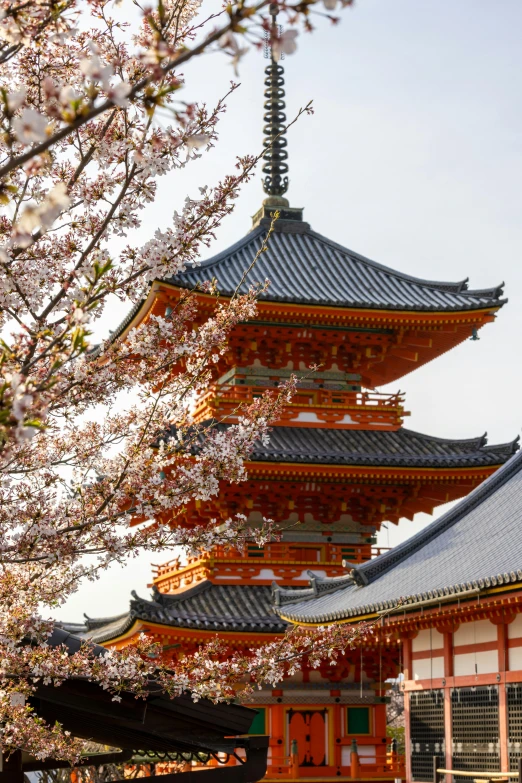 a pagoda with trees in the foreground and a blue sky