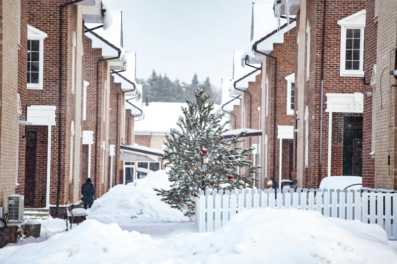 the snow has fallen on a house and some trees