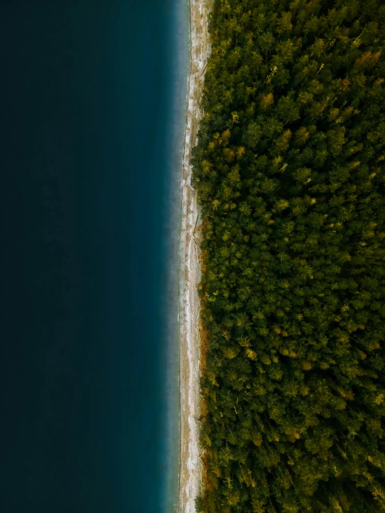 an aerial view of the shore near the water