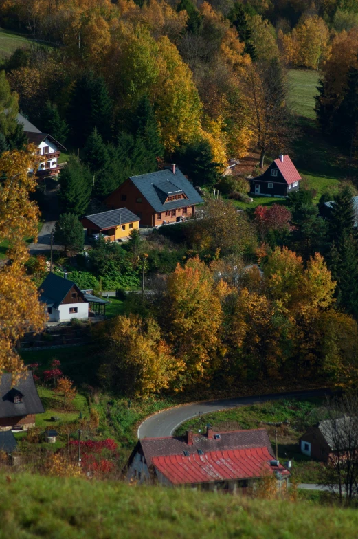 the town sits on the hill with many trees