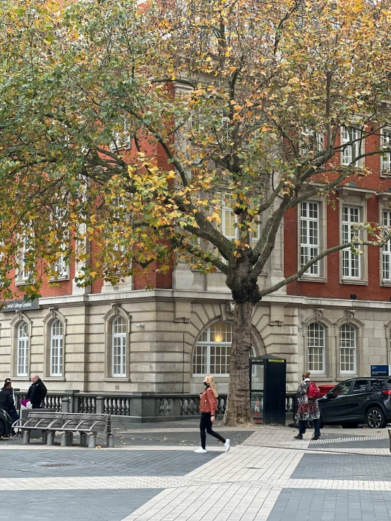 two people walking next to a tree in front of a building