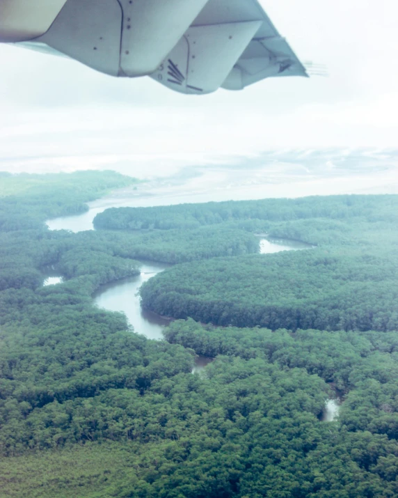 an airplane flying over some trees near water