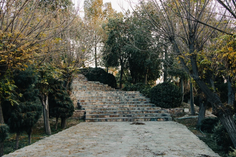 an old set of stairs in a park