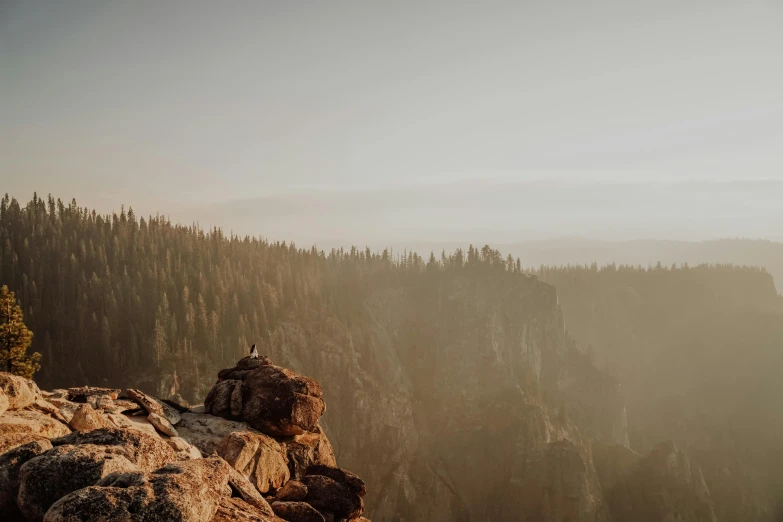 a rocky mountain top with trees and a fog