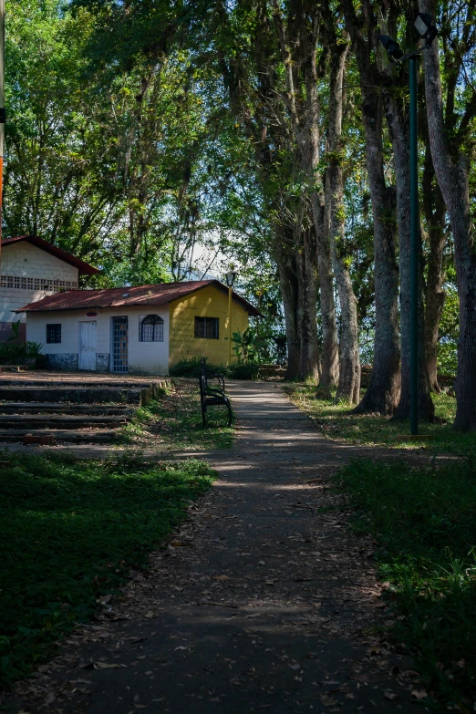 the yellow house is in a clearing next to the road